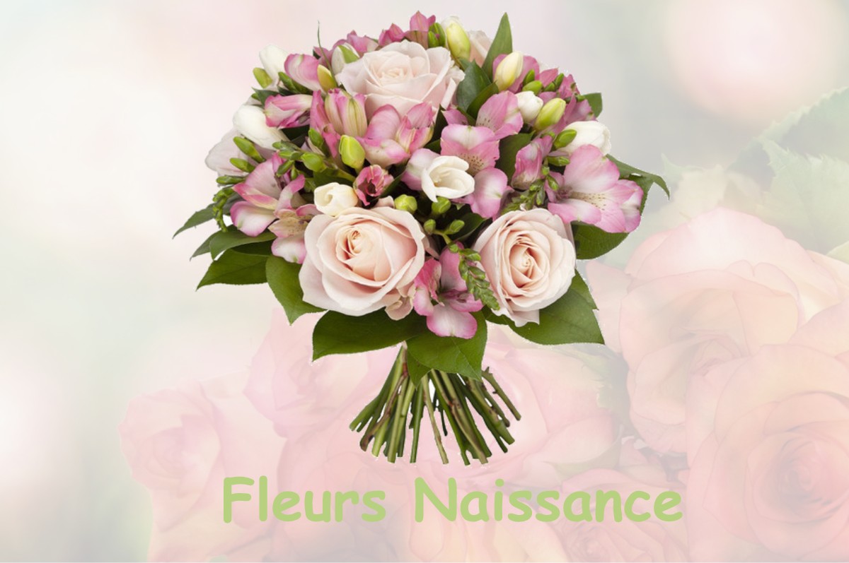 fleurs naissance BEZONVAUX